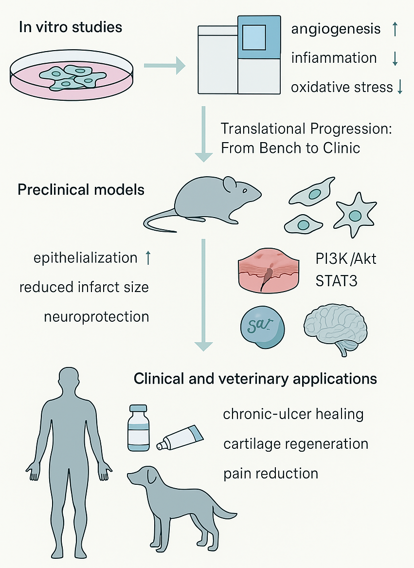 Mesenchymal Stem Cell-Derived Peptides in Regenerative Medicine